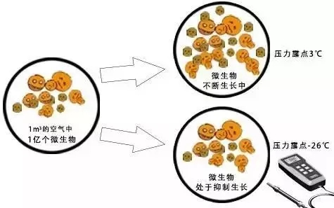 食品及制药产业压缩空气需谨慎,你吃的食物和药可能有污染-